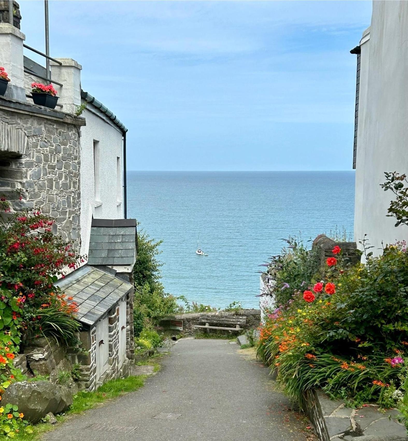 Cosy Boathouse Cottage By The Sea With Log Burner Bucks Mills Eksteriør bilde