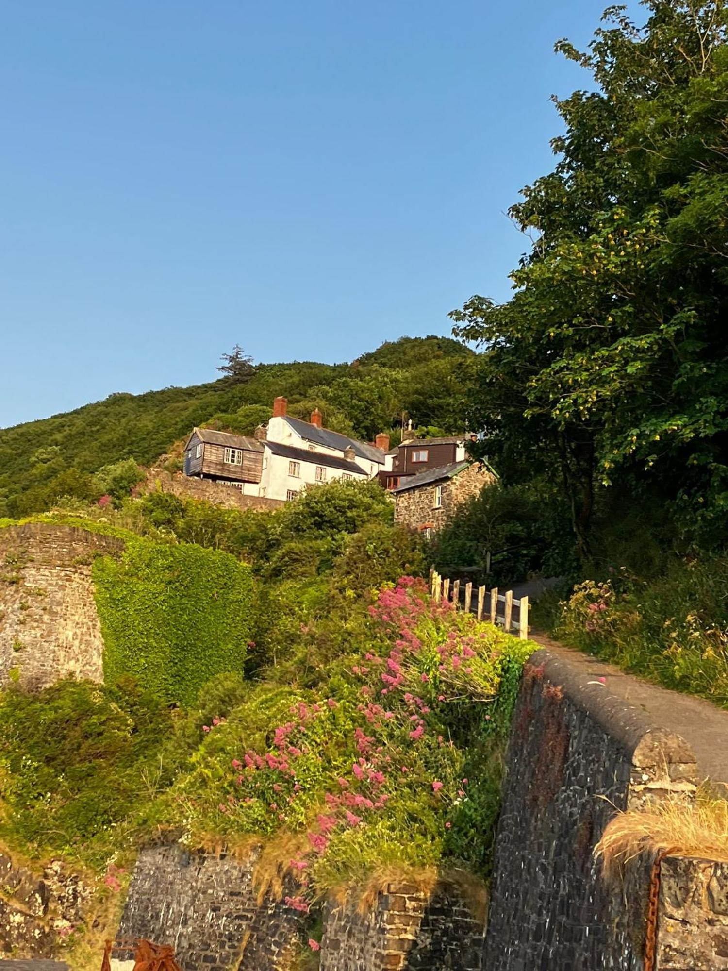 Cosy Boathouse Cottage By The Sea With Log Burner Bucks Mills Eksteriør bilde