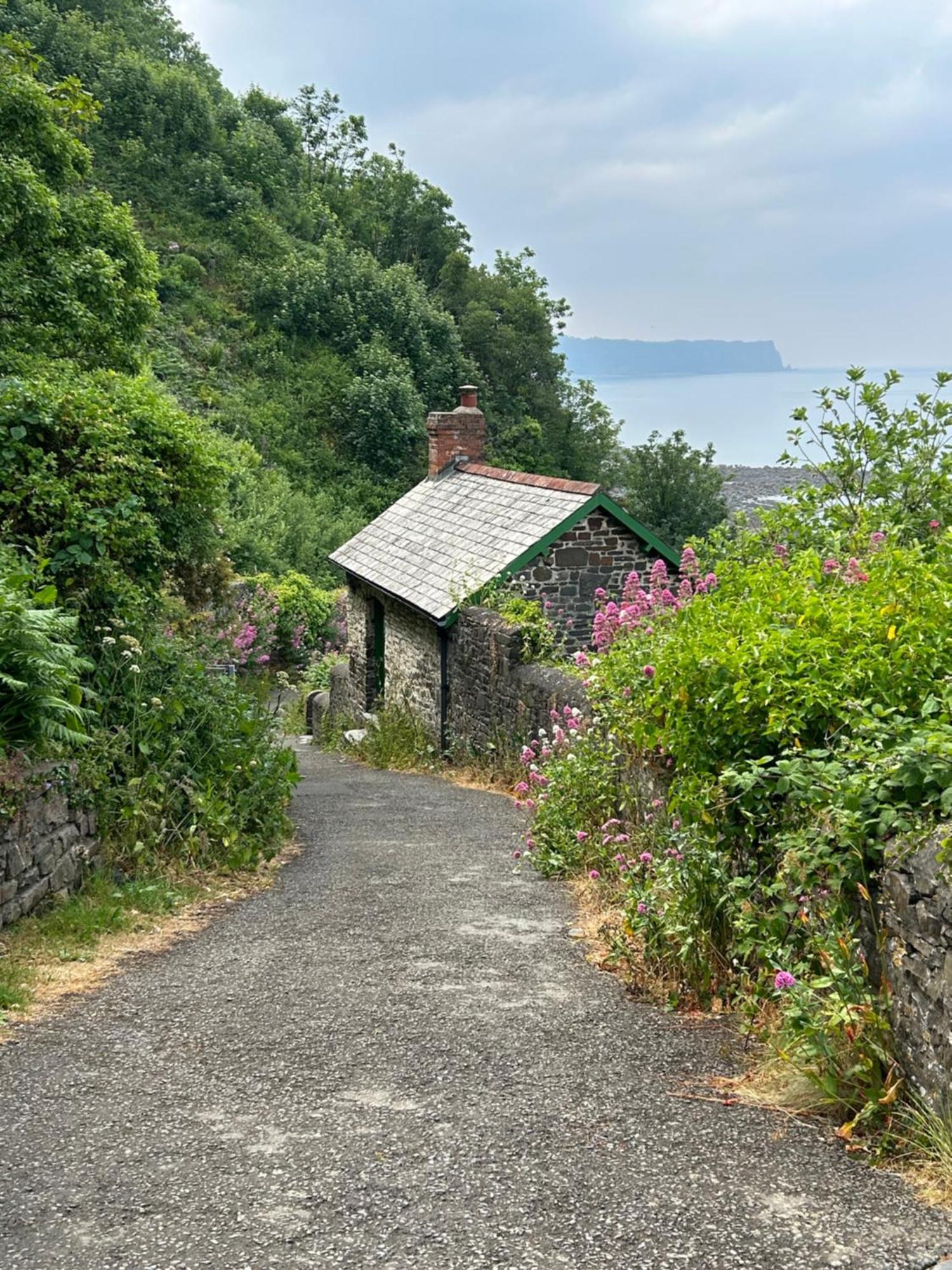 Cosy Boathouse Cottage By The Sea With Log Burner Bucks Mills Eksteriør bilde
